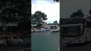 Download lagu Viral Basuri Remix Bus Damri🔥🐍 #trending #viral #basuri #shortsviral #bus #busdamri #telolet #video mp3 Download lagu Viral Basuri Remix Bus Damri🔥🐍 #trending #viral #basuri #shortsviral #bus #busdamri #telolet #video mp3