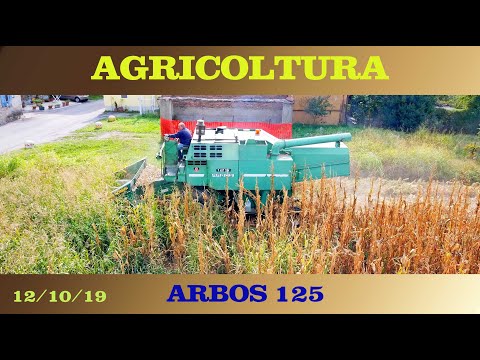 MIETITREBBIA ARBOS 125