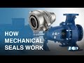 How Mechanical Seals Work Stuffing Box Packing