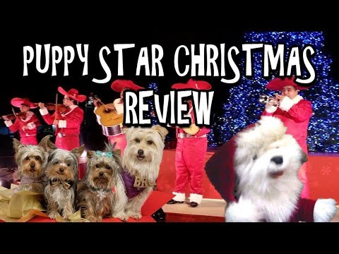 Puppy Star Christmas Review