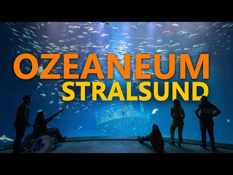 Ozeaneum Stralsund - Mehr als ein Aquarium | Zoo-Eindruck