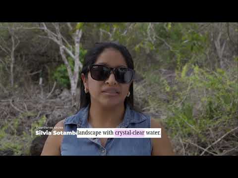 Cerro Brujo, Galápagos | Volcanic history, biodiversity, and conservation in San Cristóbal