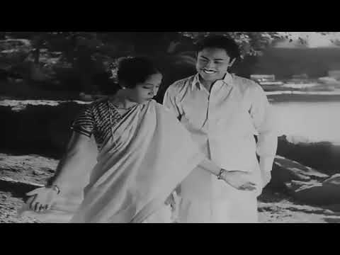 नदी किनारे खड़ी सोचती क्या — वीडियो थंबनेल