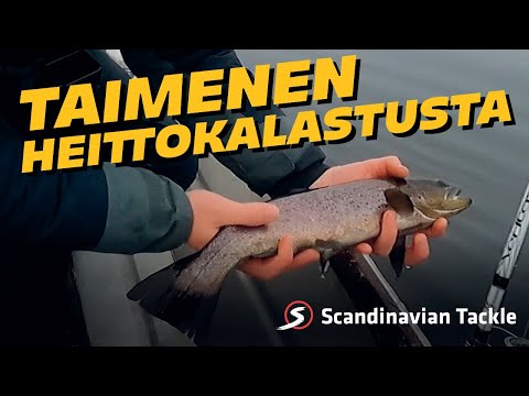 Taimenen kalastusta syksyllä - avovesikauden lopetus - Team Scandinavian Tackle