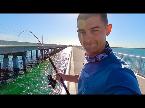 Fishing in The Florida Keys - Bridge Fishing - Amazing multi species fishing | The Fish Locker