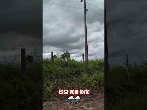 Zé doca/ MA