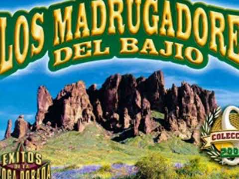 LOS MADRUGADORES DEL BAJIO...Rancheras.*