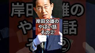 岸田文雄のやばい話② #政治 #自民党   #石破茂  #岸田文雄 #shorts  #投票 VOICE:VOX 青山龍星 VOICE:VOX Nome