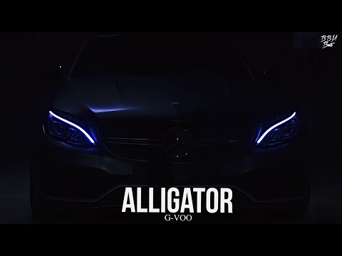 G-VOO - Alligator (2021)