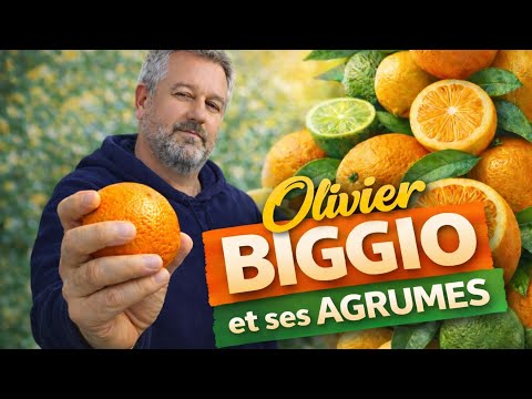 Olivier BIGGIO et ses agrumes rustiques 🍊