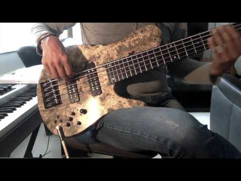 Fodera Imperial 5 + Eich T1000