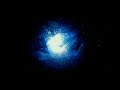 Universal Pictures Neon British Film Institute BBC Films See Saw Films 2020