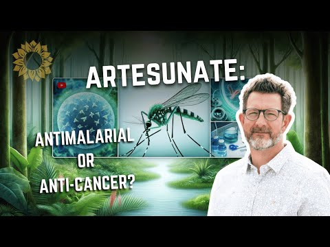 Artesunate ridsunate 100 mg, 1x4