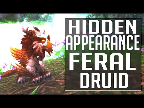 Hidden Artifact | 🐈 Feral Druid 🦉