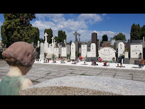 Rakvice - Zrádná Dyje