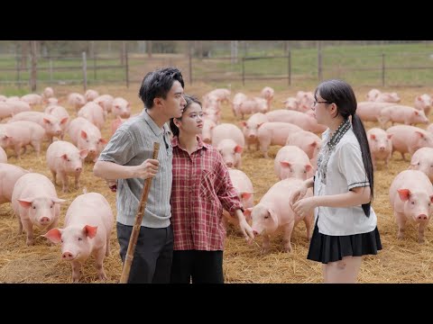 Chủ Tịch Cãi Lời Mẹ Quyết Về Quê Cưới Cô Gái Chăn Lợn Bị Gia Đình Ruồng Bỏ Và Cái Kết - Tập 1350