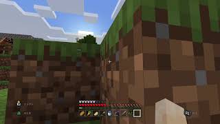 [初心者マイクラ]農業編