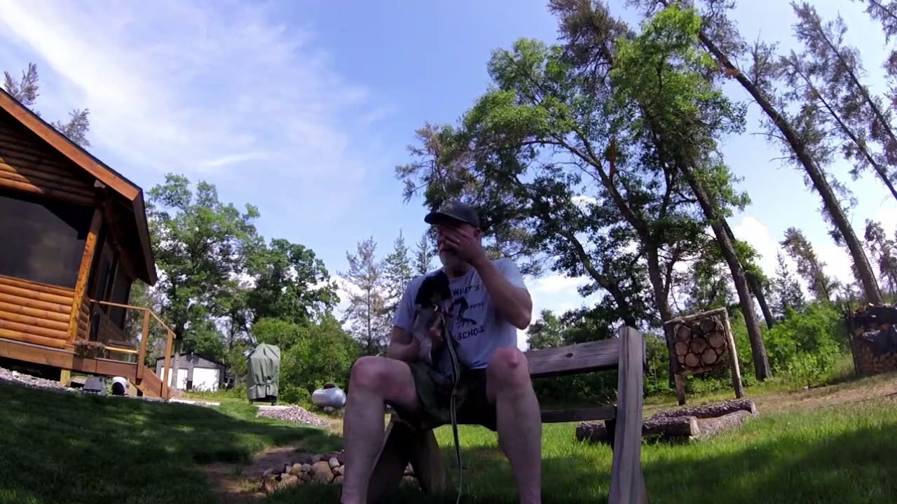 Our New German Wirehaired Pointer     Aldo