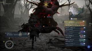 Beast of Reincarnation_レベル上げ