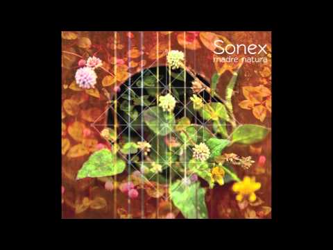 Sonex - La Guacamaya (6/13)
