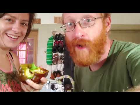 Chocolate Beauty Pepper - What does it look & taste like?! |Stewpendous Taste Testing Series 2021