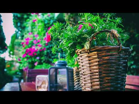 Dom Wypoczynkowy ANNA Kołobrzeg