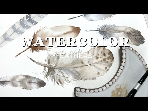 Watercolor Feathers: a quick overview or how to paint simple watercolor feathers with Katrina Pete