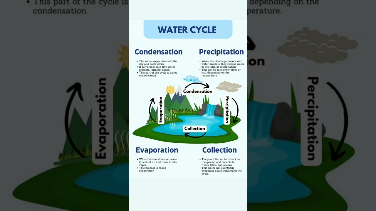 Water cycle || Evaporation condensation precipitation and collection || #science #knowledgeispower