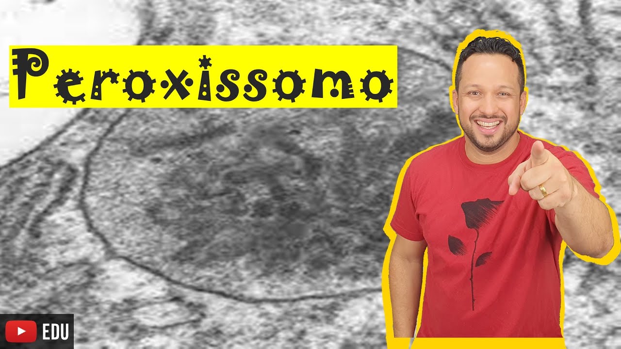 Peroxissomo - Definição, Características e Funções - Organelas Citoplasmáticas - Citologia