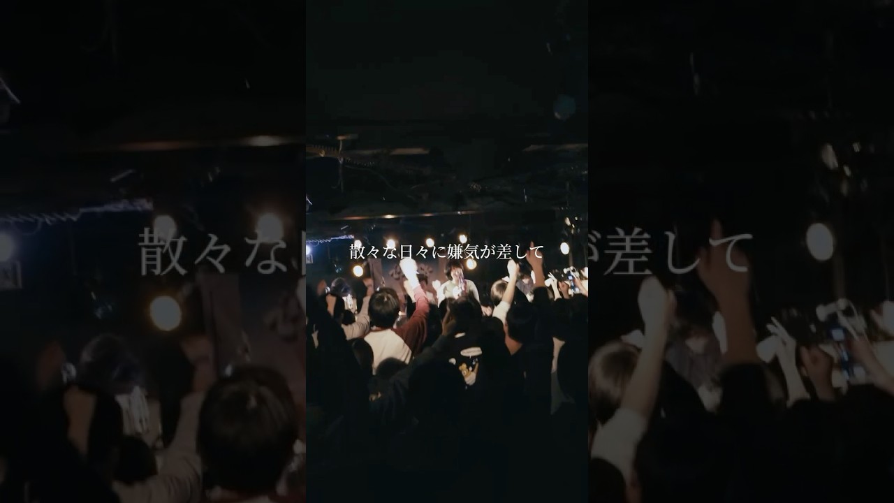 散々な日々に嫌気が差しました #ペルシカリア #邦ロック #おすすめ #情けない #shorts