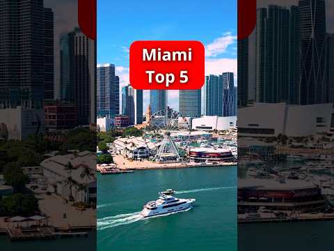 Miami - 5 Things To Do #shorts