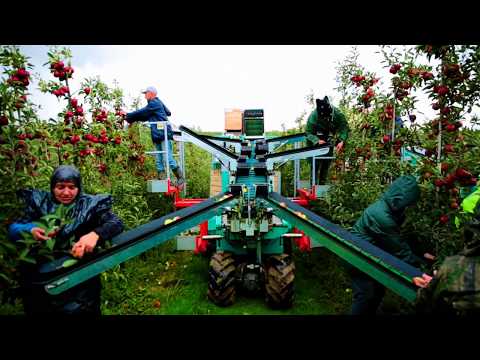 Frumaco Harvesting Machine