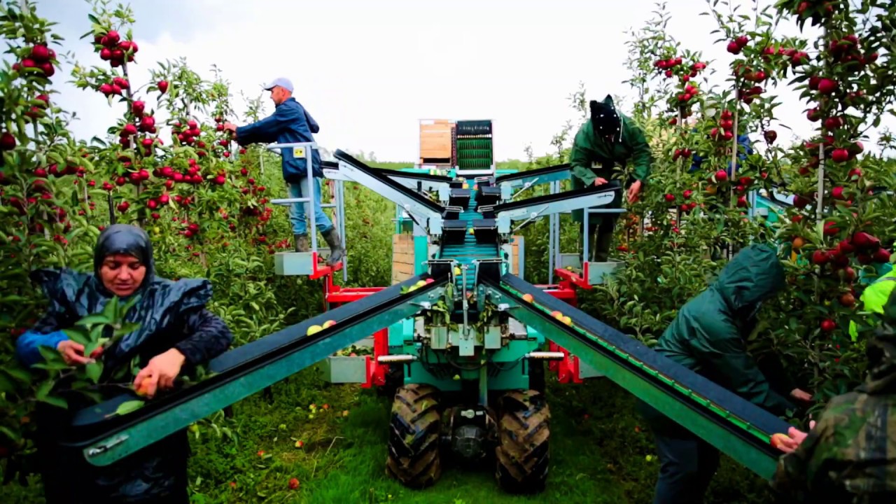 Tecnofruit Harvesting Machine thumbnail