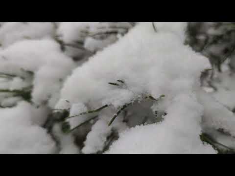 Обзор складного смартфона Xiaomi MIX Flip: первая раскладушка Xiaomi / Смартфоны