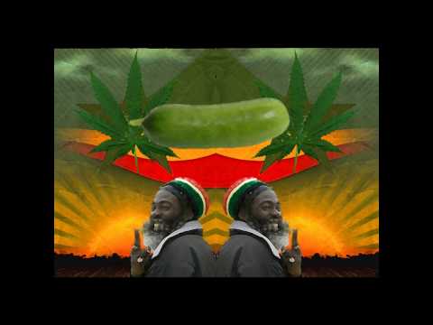 Mir Crew - Children of Dub