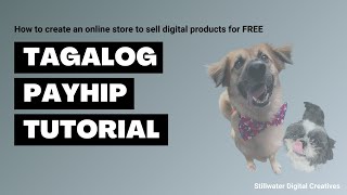 Payhip tutorial: How to create an online store to sell digital products for FREE