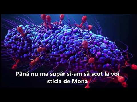 Mona,hai sa ne-ntarim papirusu’