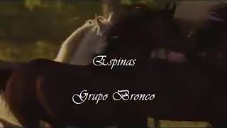 Espinas. (Letra) BRONCO