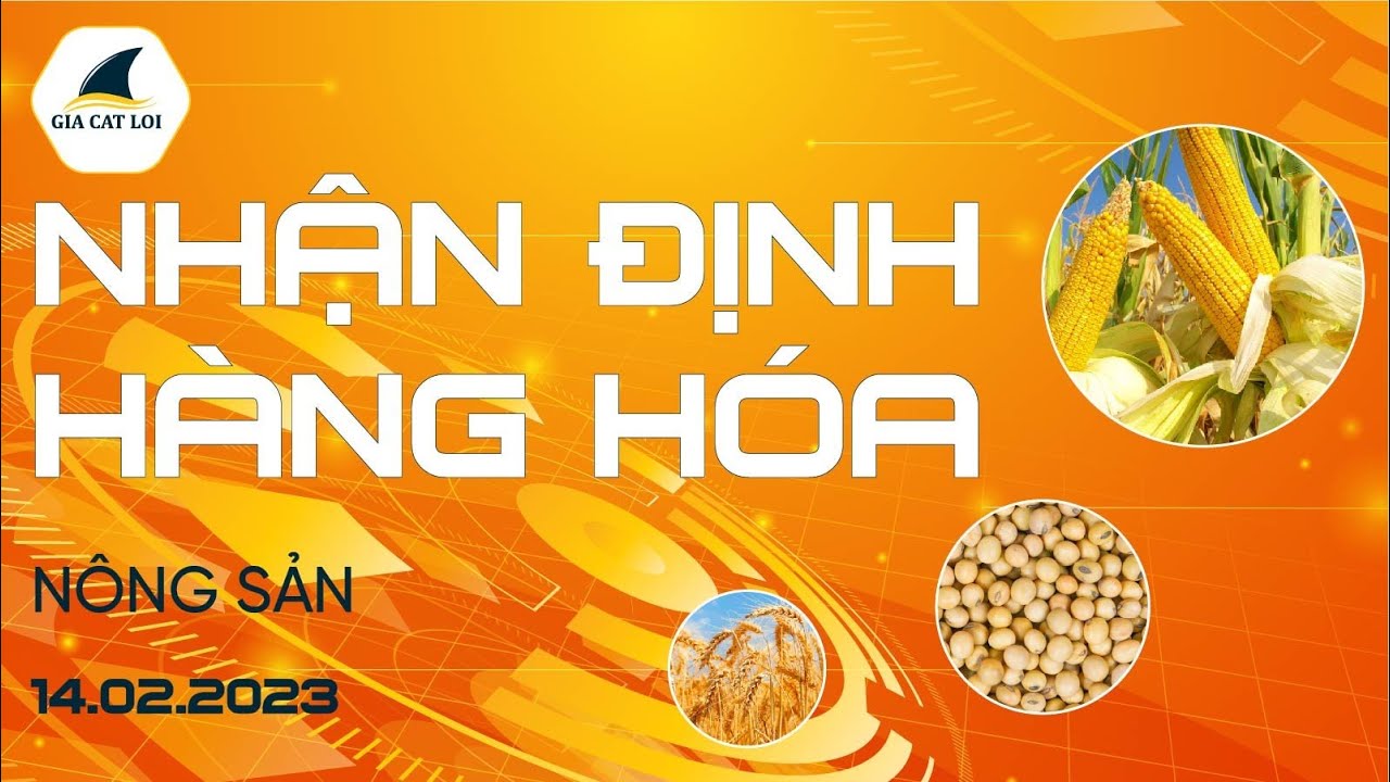 Nhận Định Hàng Hoá Nông Sản Ngày 14/02/2023