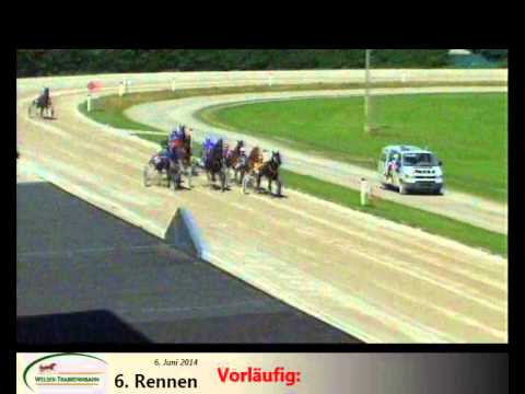 6. Rennen 8.6.2014 Trabrennbahn Wels