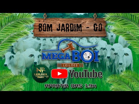 MEGA BOI LEILÕES - BOM JARDIM DE GOIÁS 28/10/2025