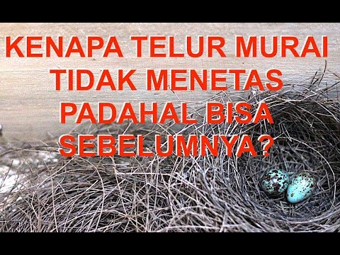 Menetas Novyj Trend Smotret Onlajn Na Sajte Trendovi Ru