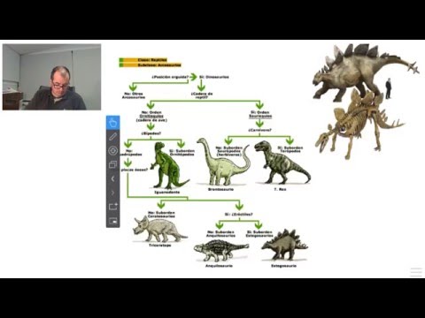 Vídeo: Nomenclatura binomial e claves dicotómicas