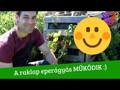látássérülés, hogyan bánik otthoni technikák a látáshoz