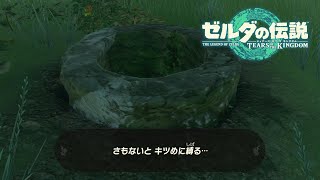 しょうもないスクープを集める新聞社【ゼルダの伝説ティアーズオブキングダム】#31