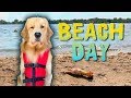 Taking My Dog To The Beach