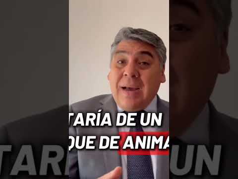 "En Molina: Menor permanece grave tras ser hallado con diversas lesiones" SUSCRÍBETE A NUESTO CANAL!