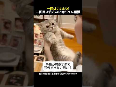 一回はいいけど二回目は許さない赤ちゃん活獣