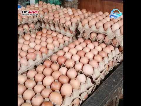 Jelang Ramadan Telur Ayam Kembali Naik di Lubuk Linggau