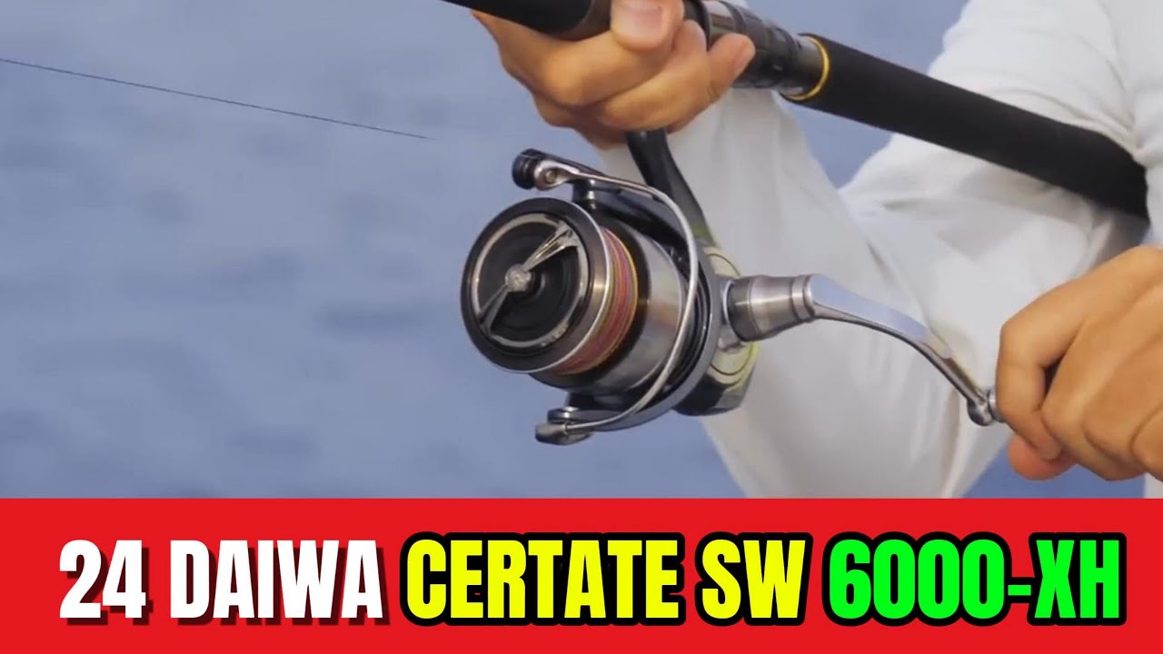 Máy câu DAIWA CERTATE SW 2024 JDM